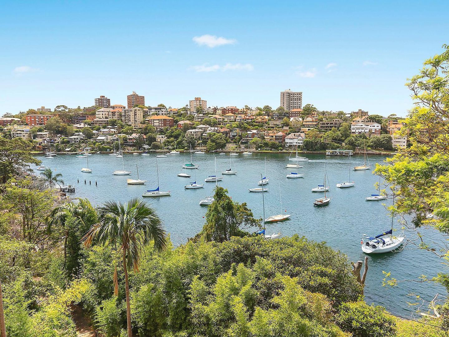 51 Cremorne Road, CREMORNE POINT NSW 2090, Image 2