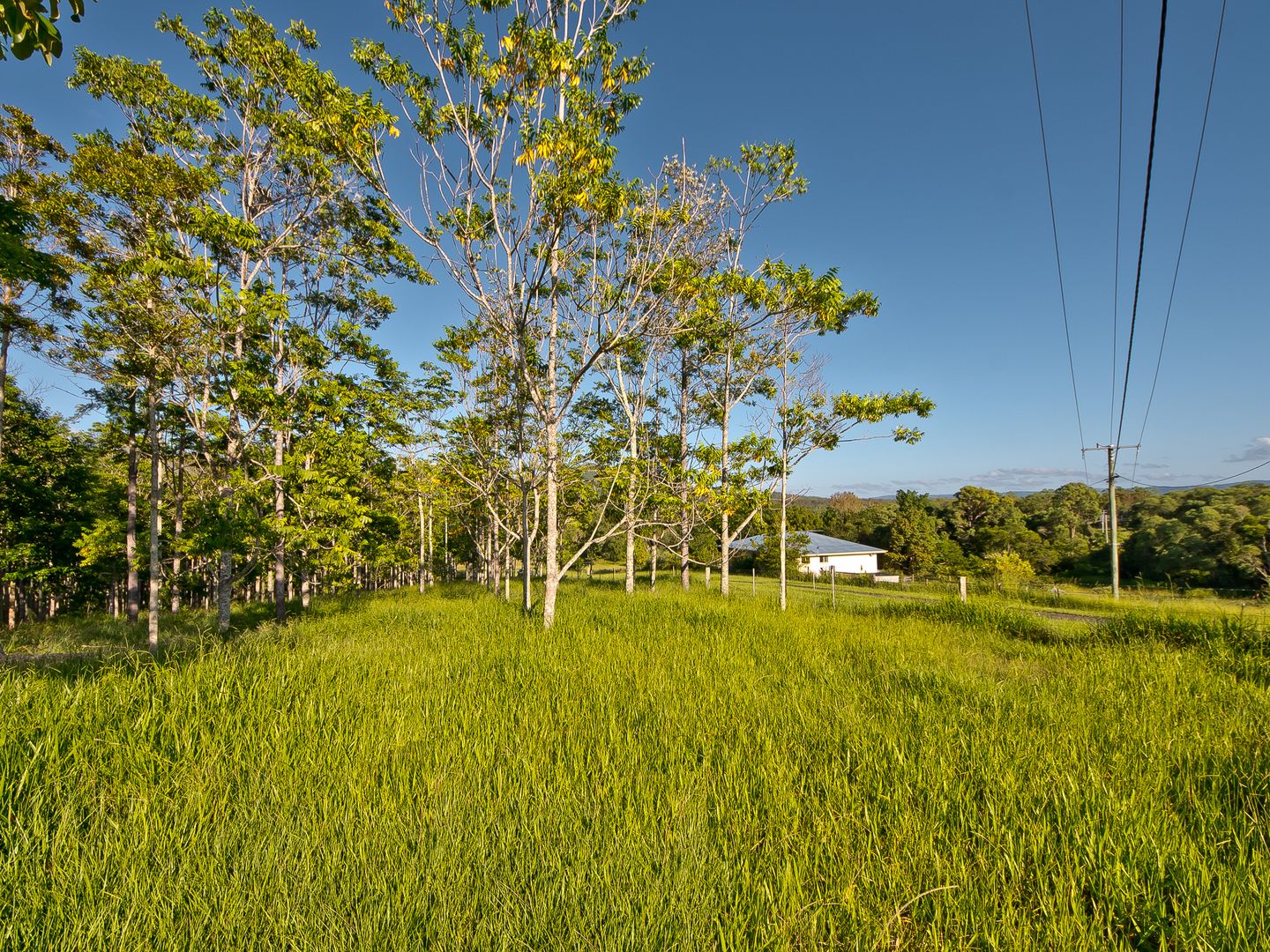 Mount Samson QLD 4520, Image 1