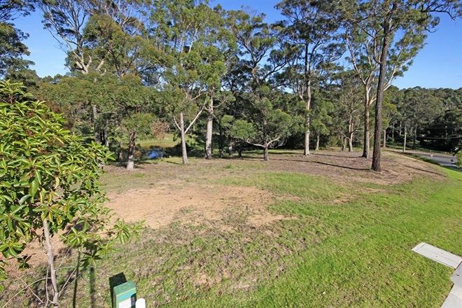 Picture of Lot 16 Grandfathers Gully Road, LILLI PILLI NSW 2536