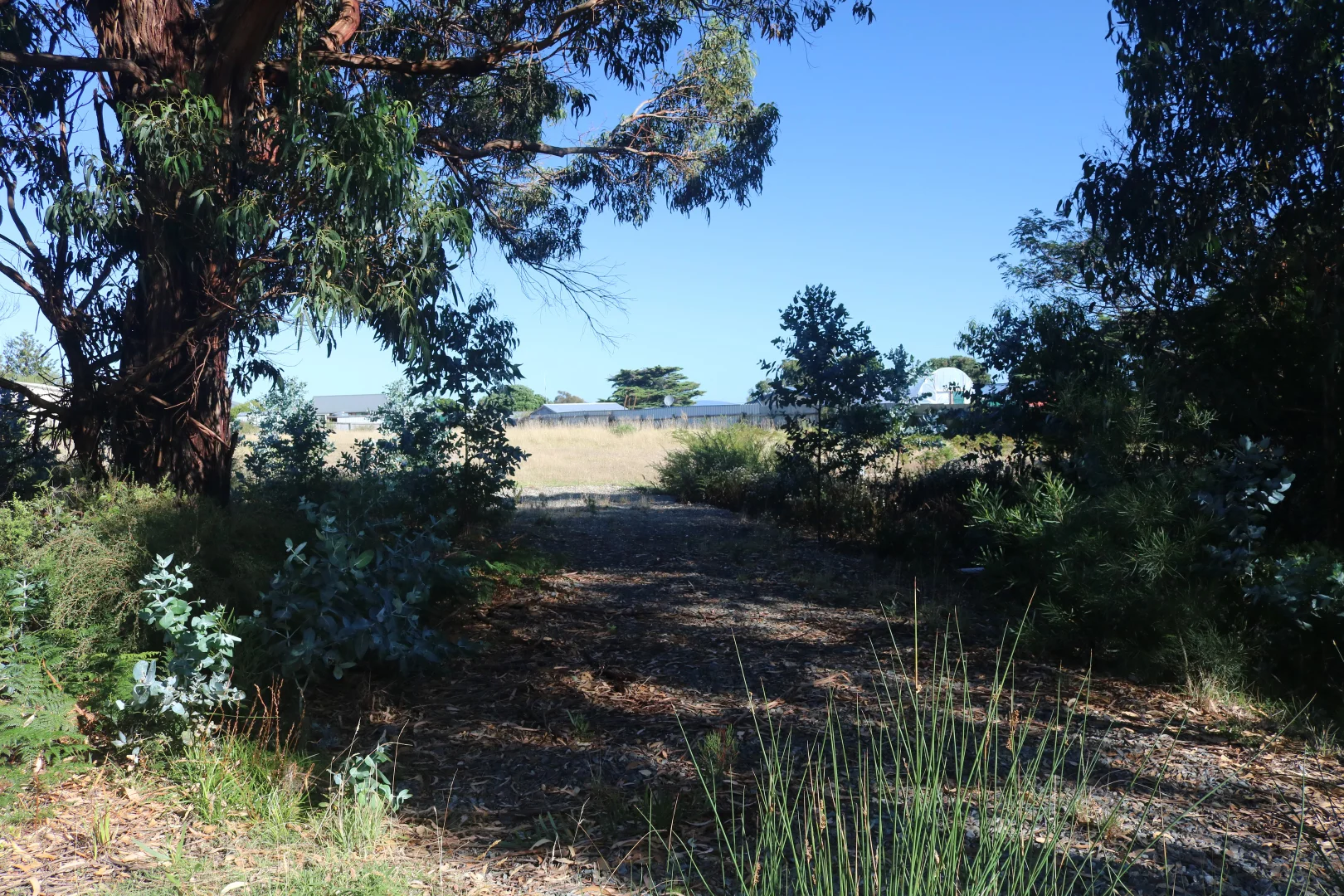 Image 14