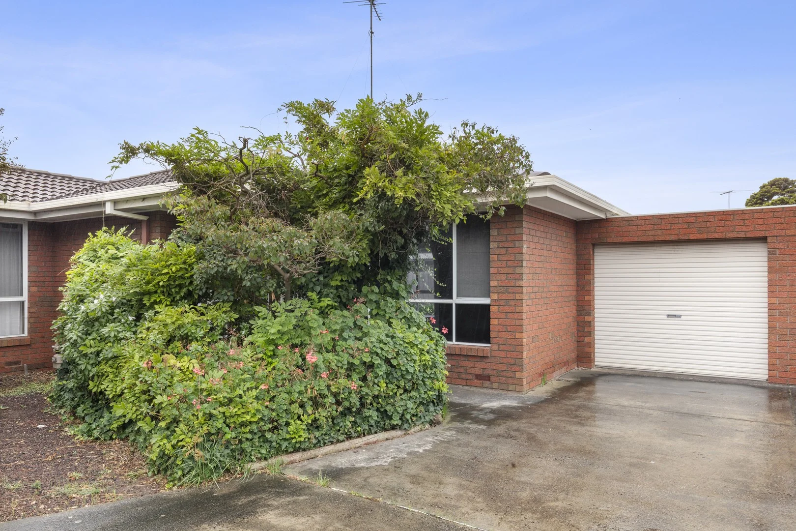 5/41 Rugby Street, Belmont VIC 3216