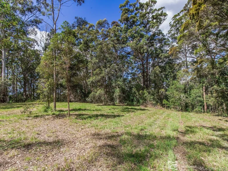 Additional image 10 of 1806 Gold Coast Springbrook Road, Springbrook QLD 4213