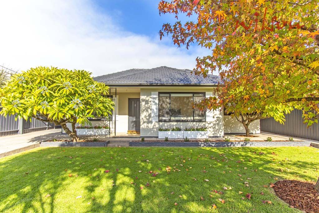 30 Scottish Avenue, Clovelly Par Property History & Address Research