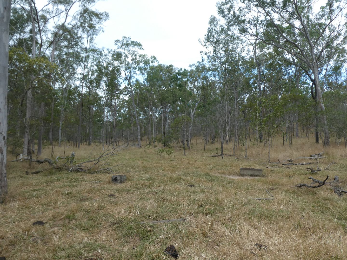 Doongul QLD 4620, Image 2