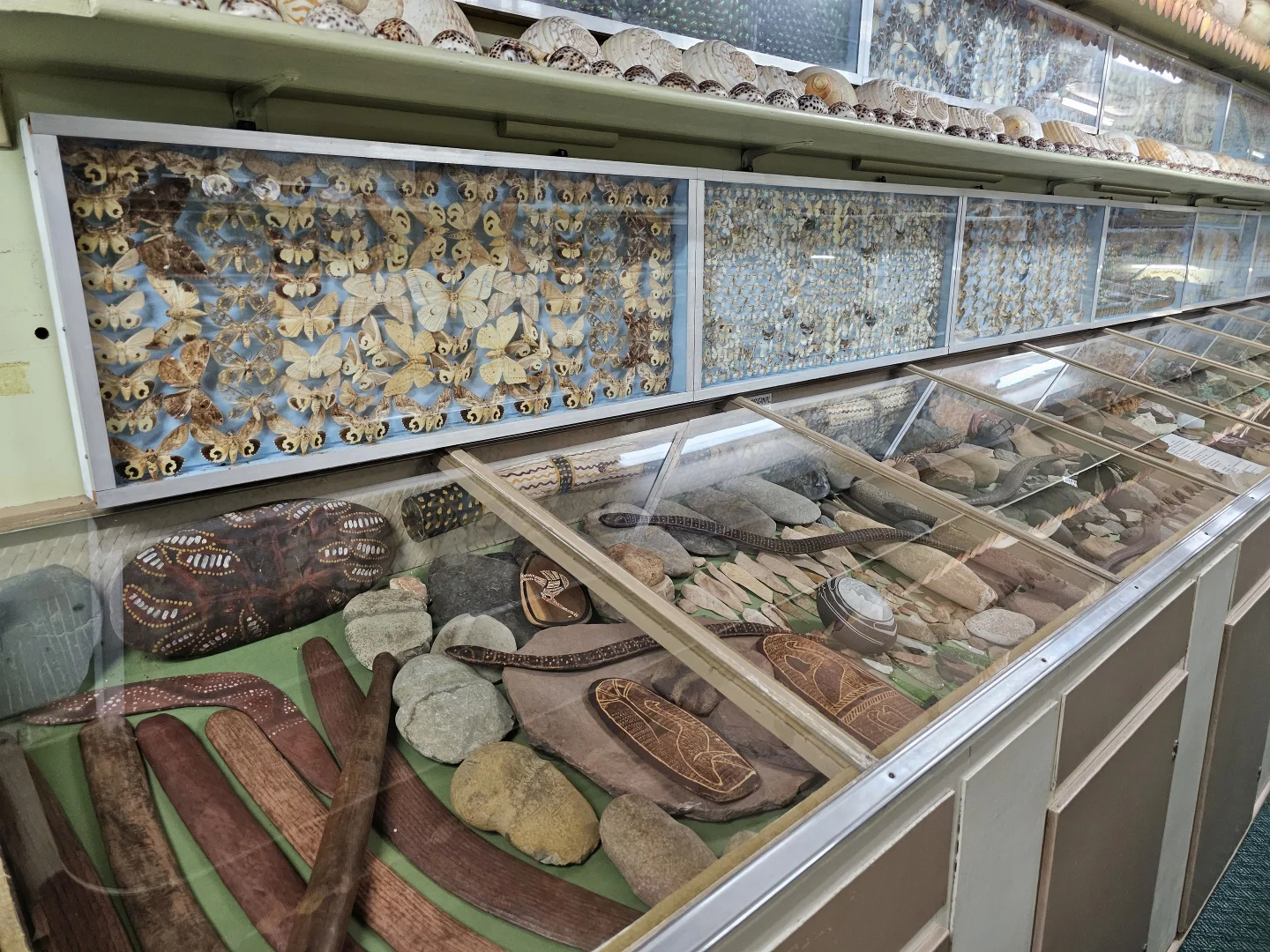 Image 14