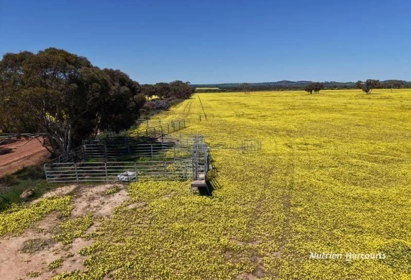 Additional image 6 of 184 Ewert Road, Morbinning WA 6304