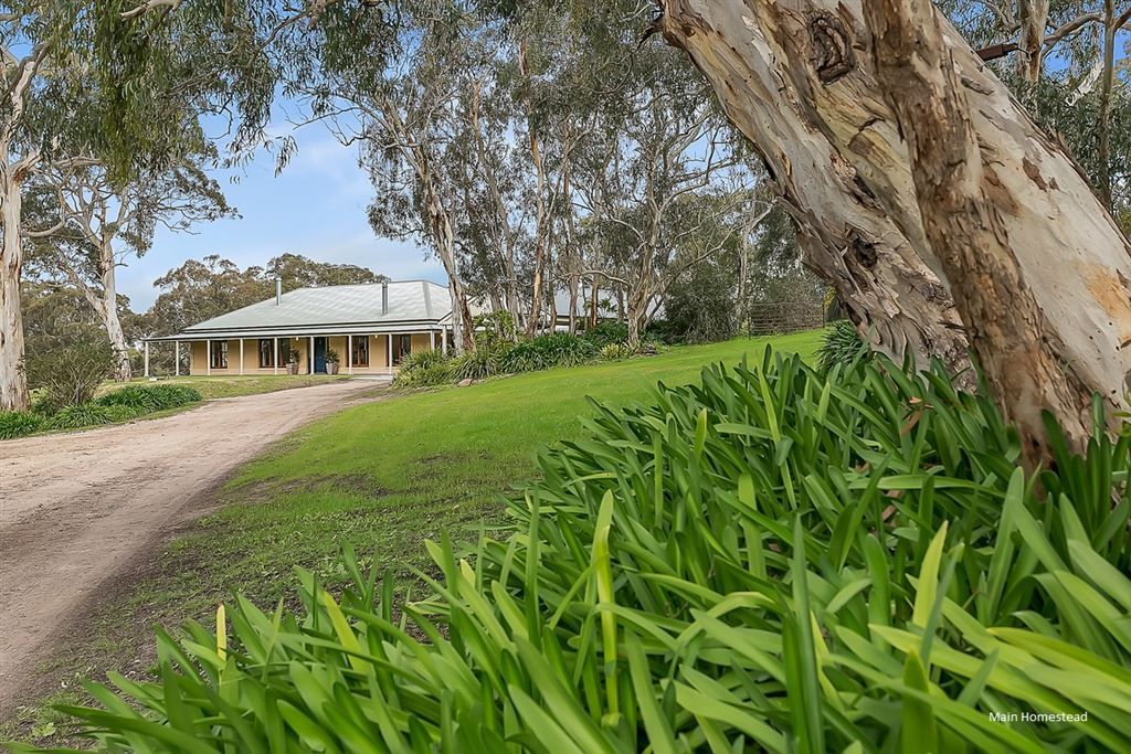 318 Mosquito Hill Road, Mount Compass SA 5210, Image 2