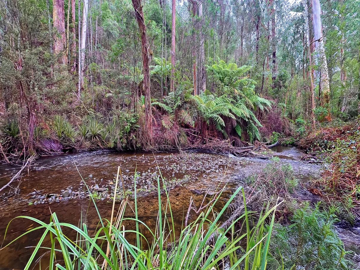 Additional image 11 of 1020 Buxton-Marysville Rd, Marysville VIC 3779