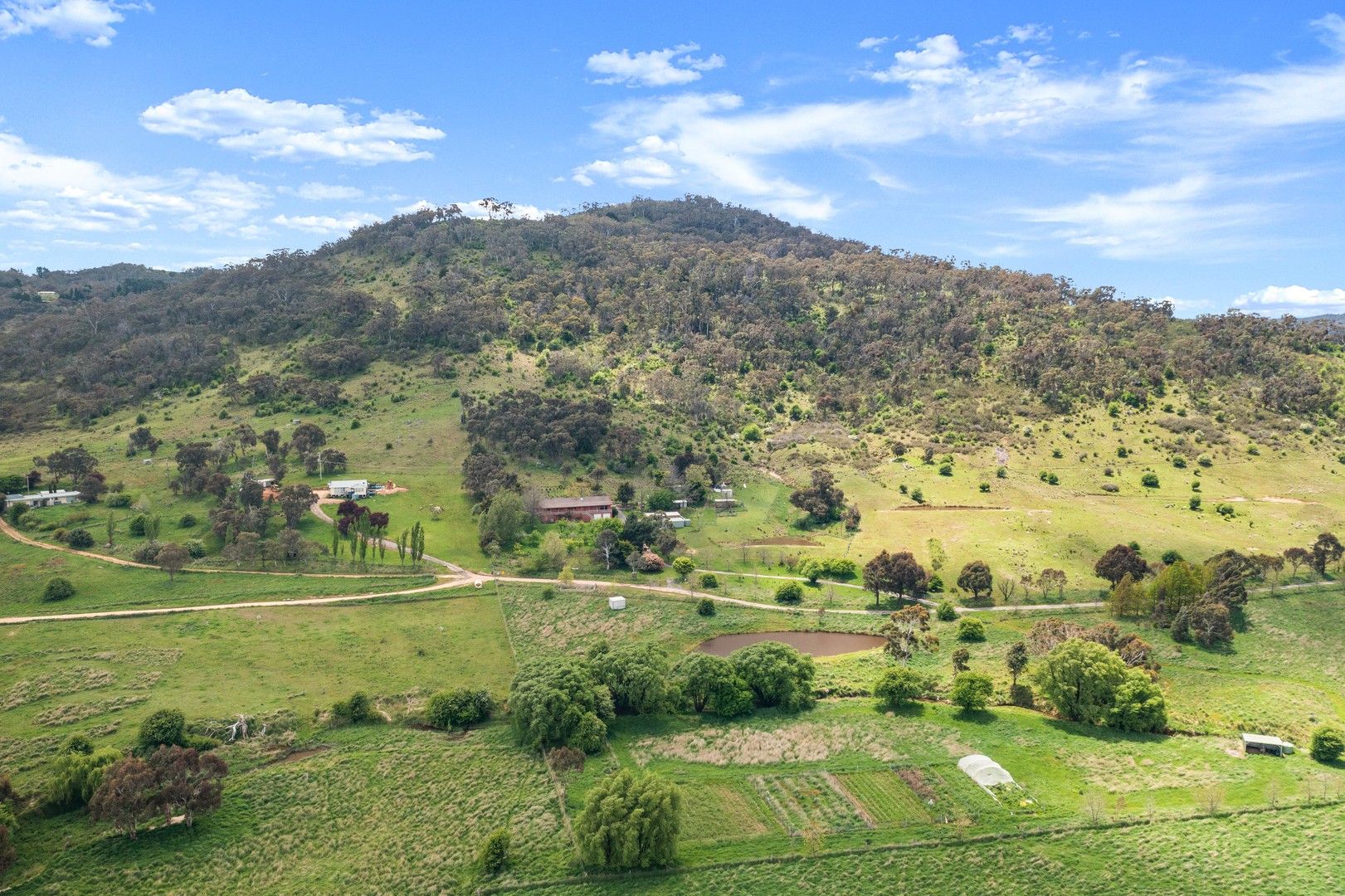 40 Moore Road, Burra NSW 2620 House for Sale Domain