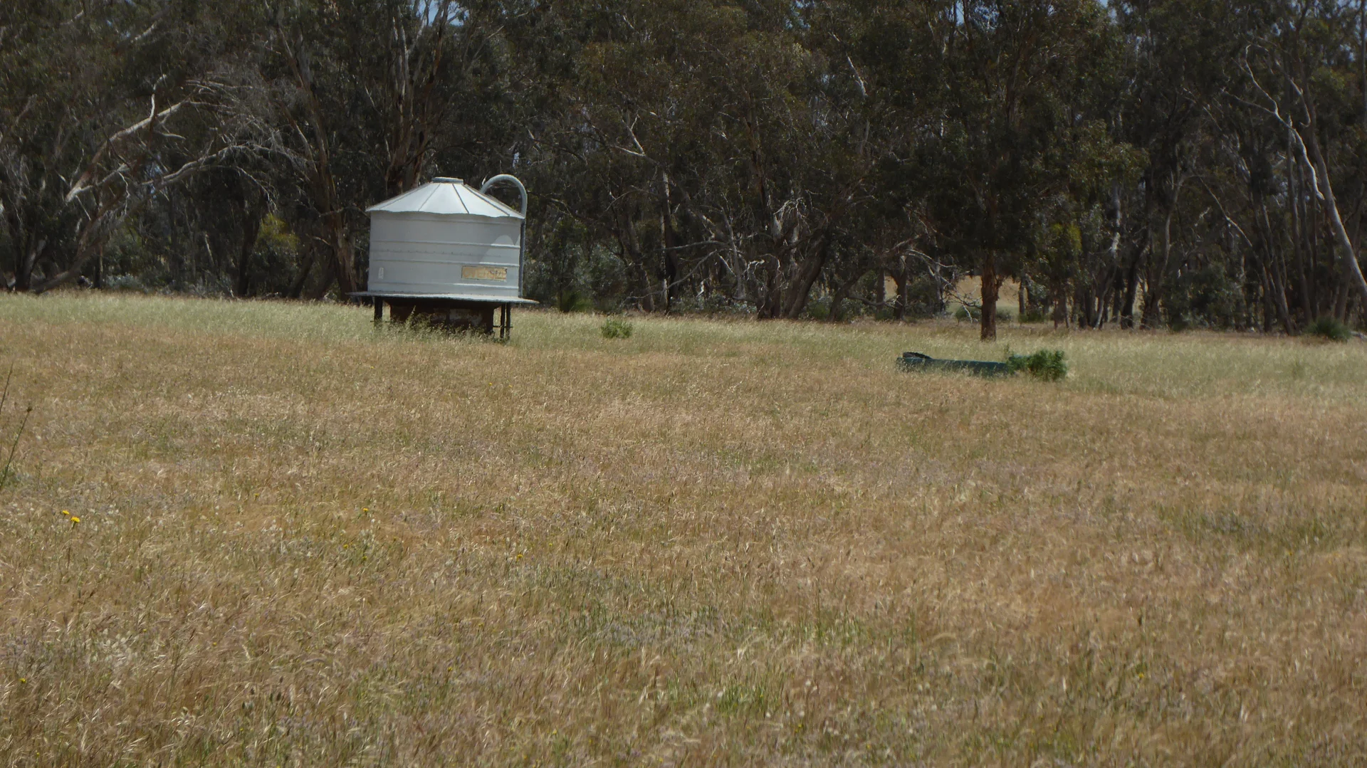 Image 11