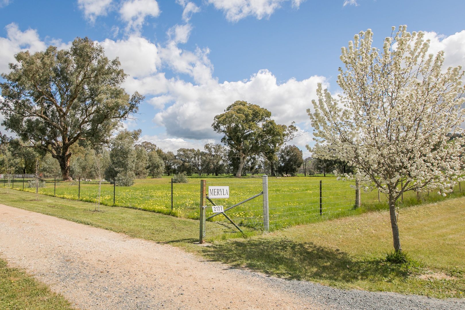 2177 Culcairn Holbrook Road, Morven NSW 2660, Image 1