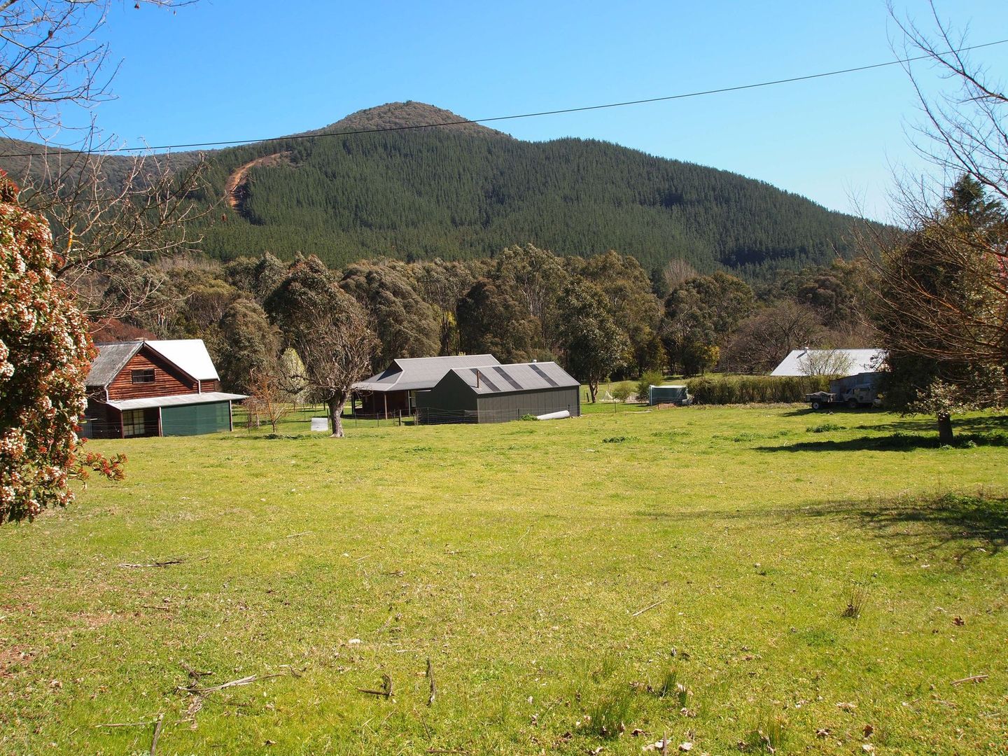 PS 142190 Morses Creek Road, Wandiligong VIC 3744, Image 1