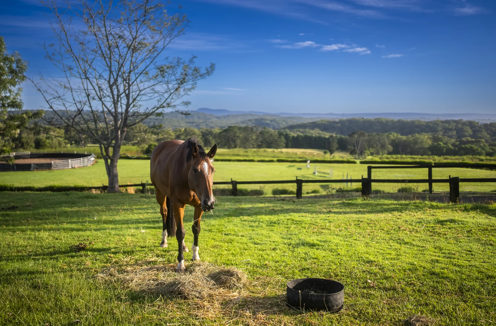 Additional image 5 of 1266 George Downes Drive, Kulnura NSW 2250