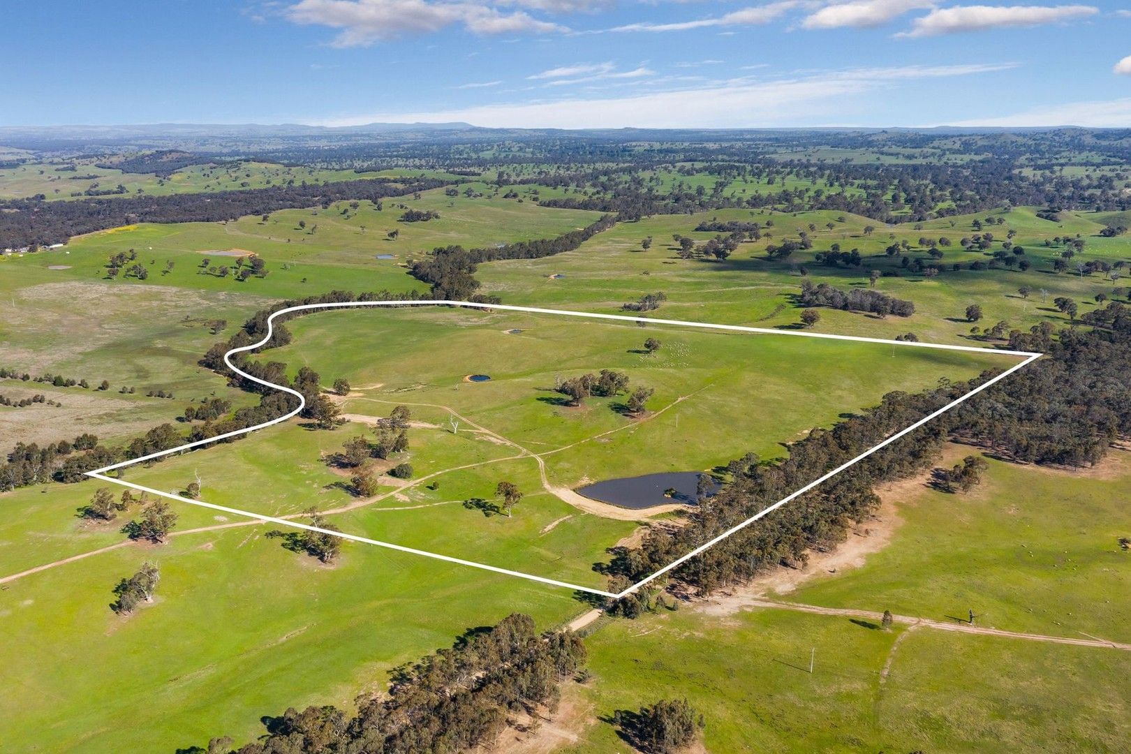 Lot 3 & 4 Carnochans Road, Myrtle Creek VIC 3551, Image 0