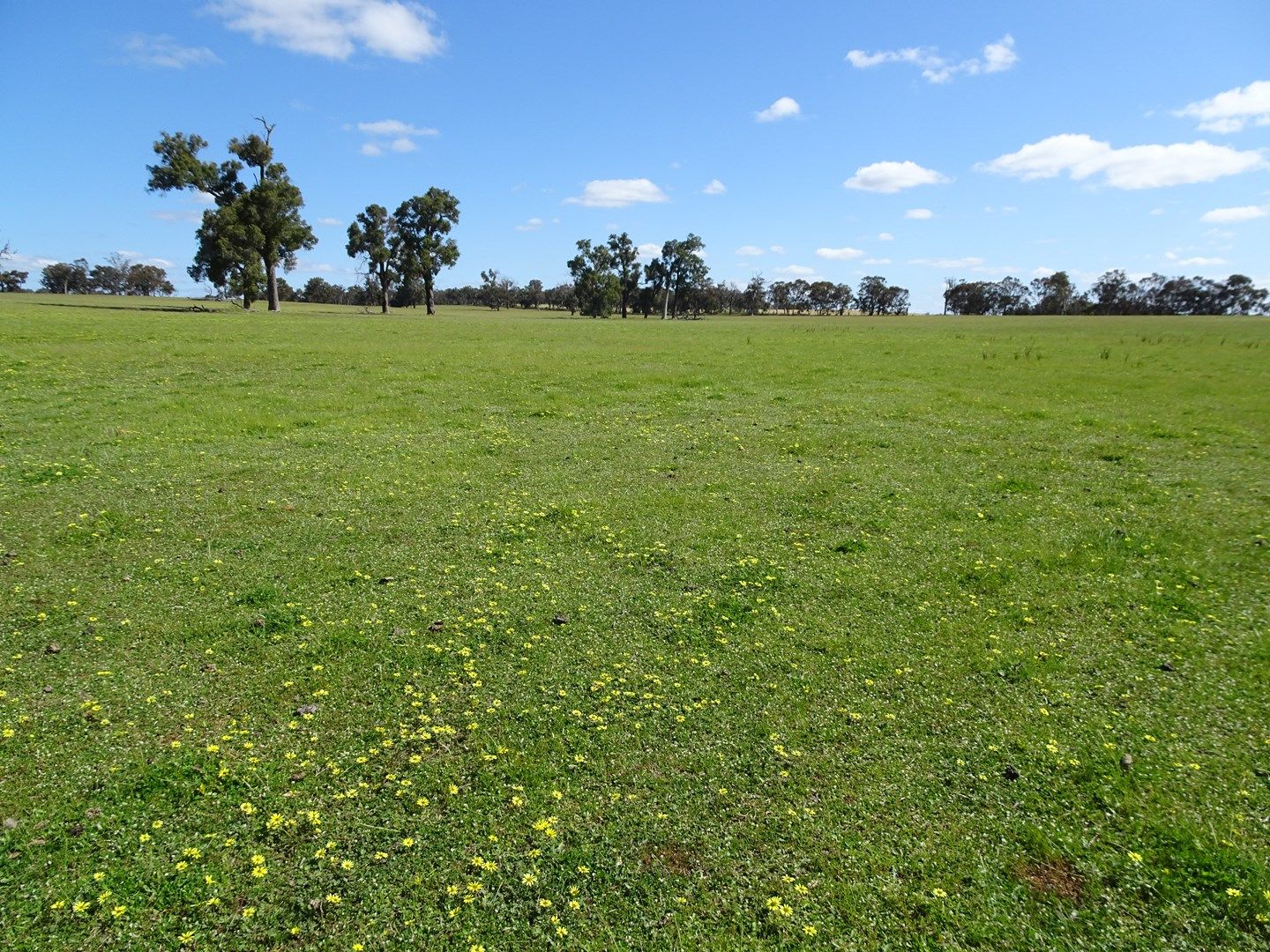 "Mitchibin" North Bannister-Wandering Rd, Wandering WA 6308, Image 0