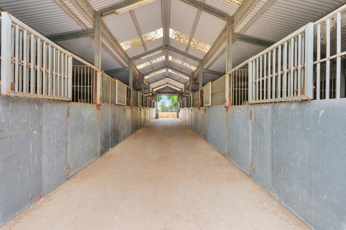 Additional image 2 of 164 Upper Dartbrook Road, Scone NSW 2337