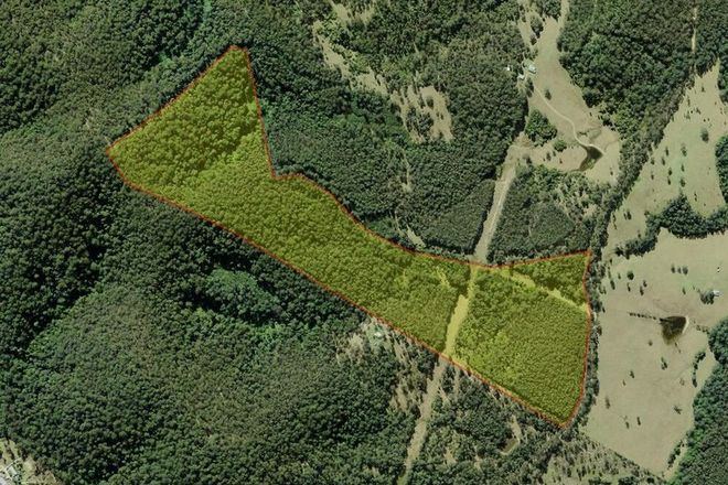 Picture of Lot 51, 801 Manning Hill Rd, BUNYAH NSW 2429