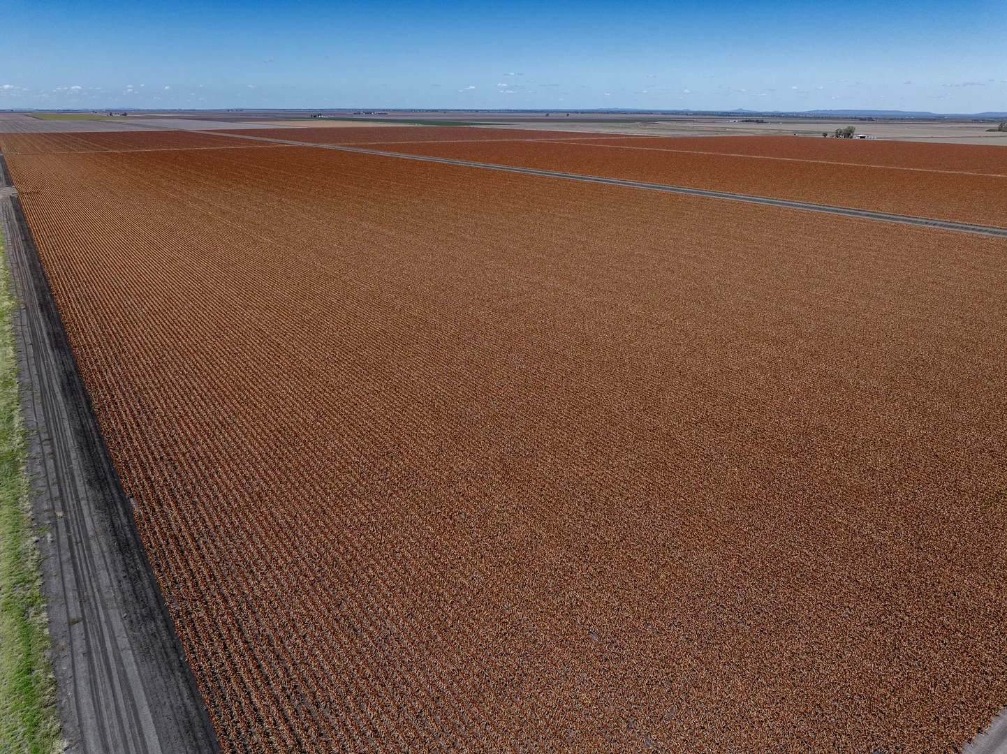 Additional image 19 of 0 Brookstead Norwin Road, Brookstead QLD 4364