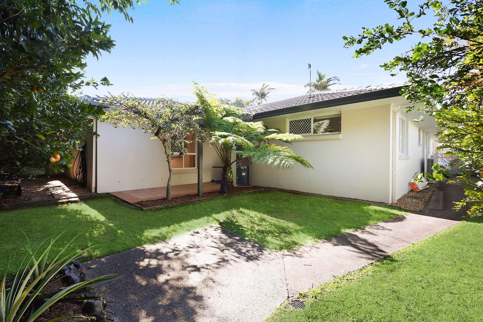 Image 20