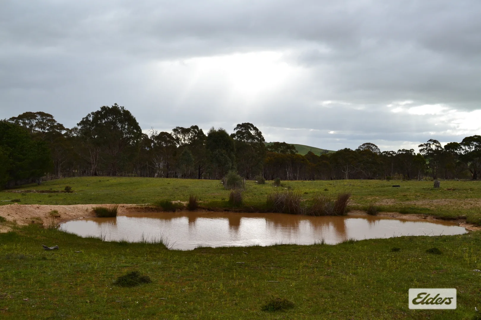 Image 19