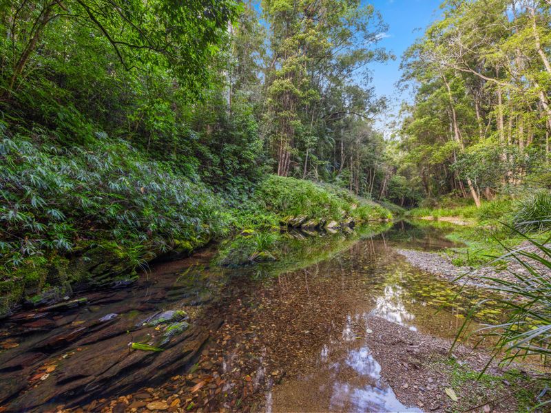 2206 Kalang Road, Bellingen NSW 2454, Image 0