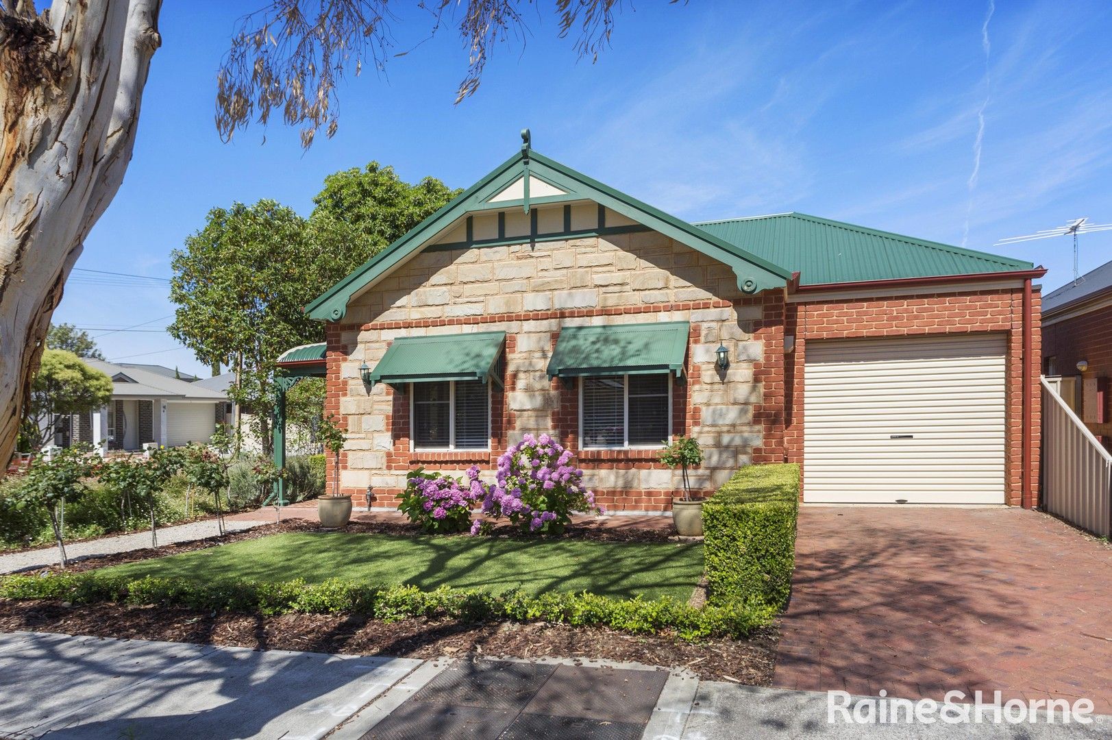 36 Beauchamp St, Kurralta Park SA 5037, Image 0