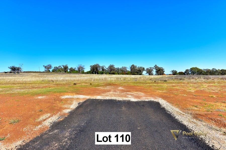 Lot 110 Premiers Street, Nemingha, Tamworth NSW 2340, Image 2