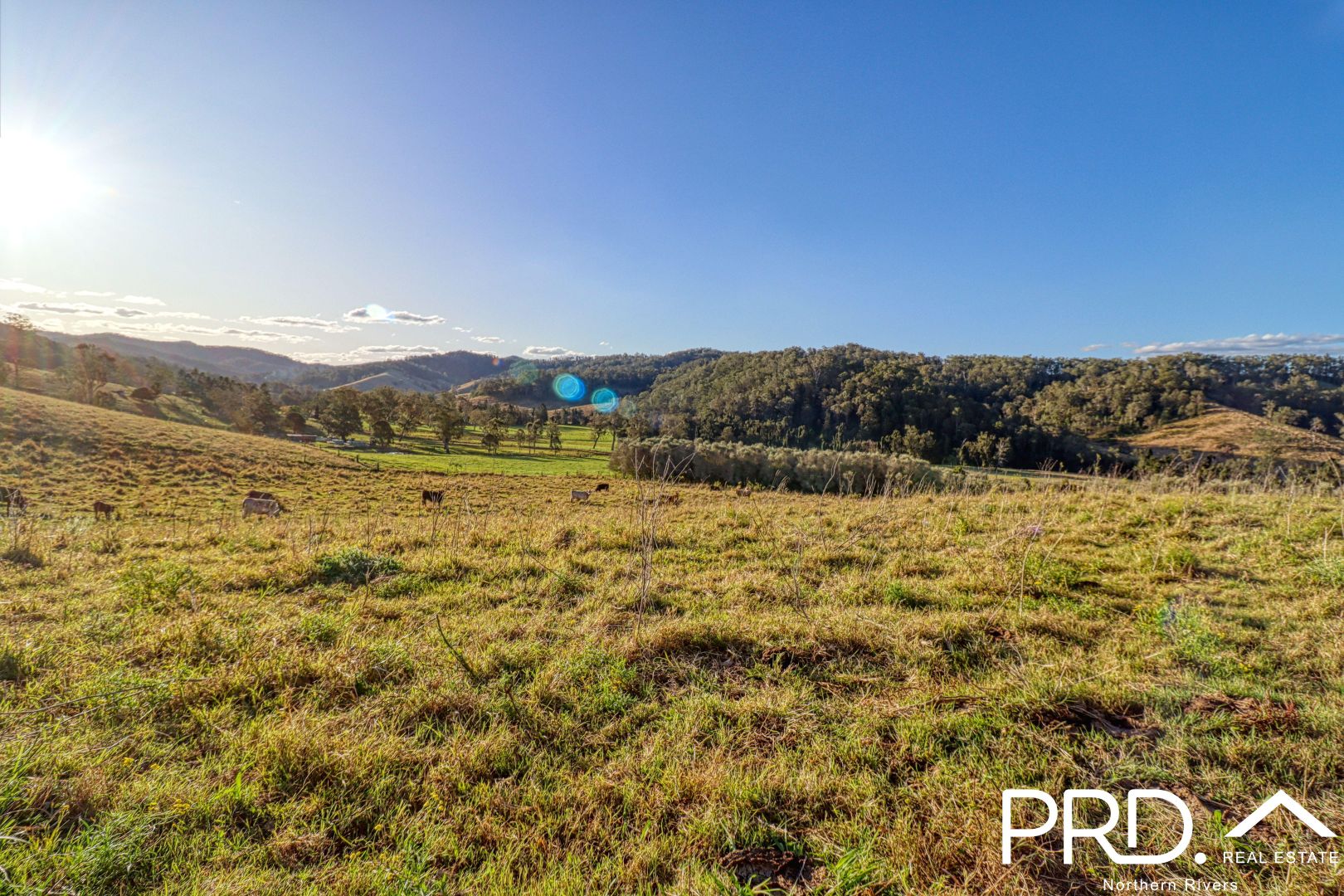 Lot 11 Eden Creek Road, Upper Eden Creek NSW 2474, Image 1