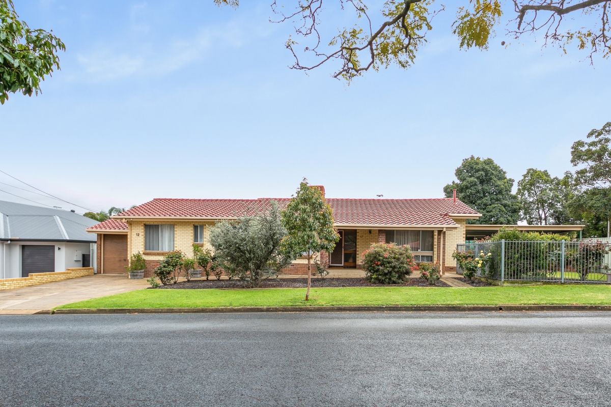 12 Zircon Crescent, Highbury SA 5089, Image 1