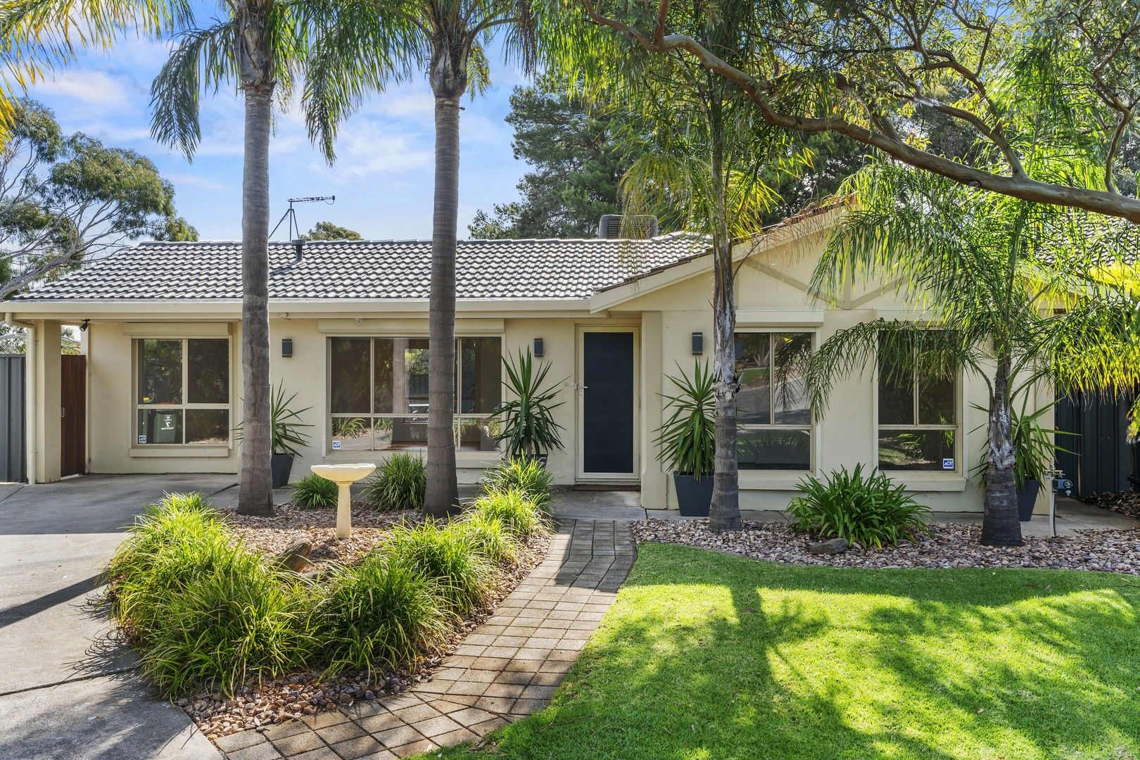 7 Hayford Crescent, Morphett Vale SA 5162 House For Rent 550 Domain