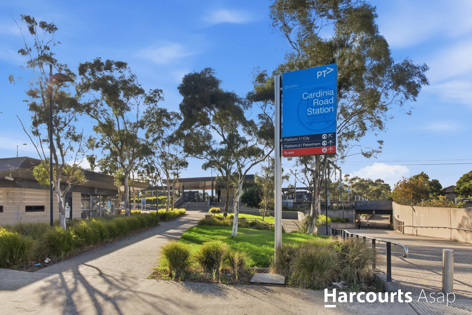 Image 15