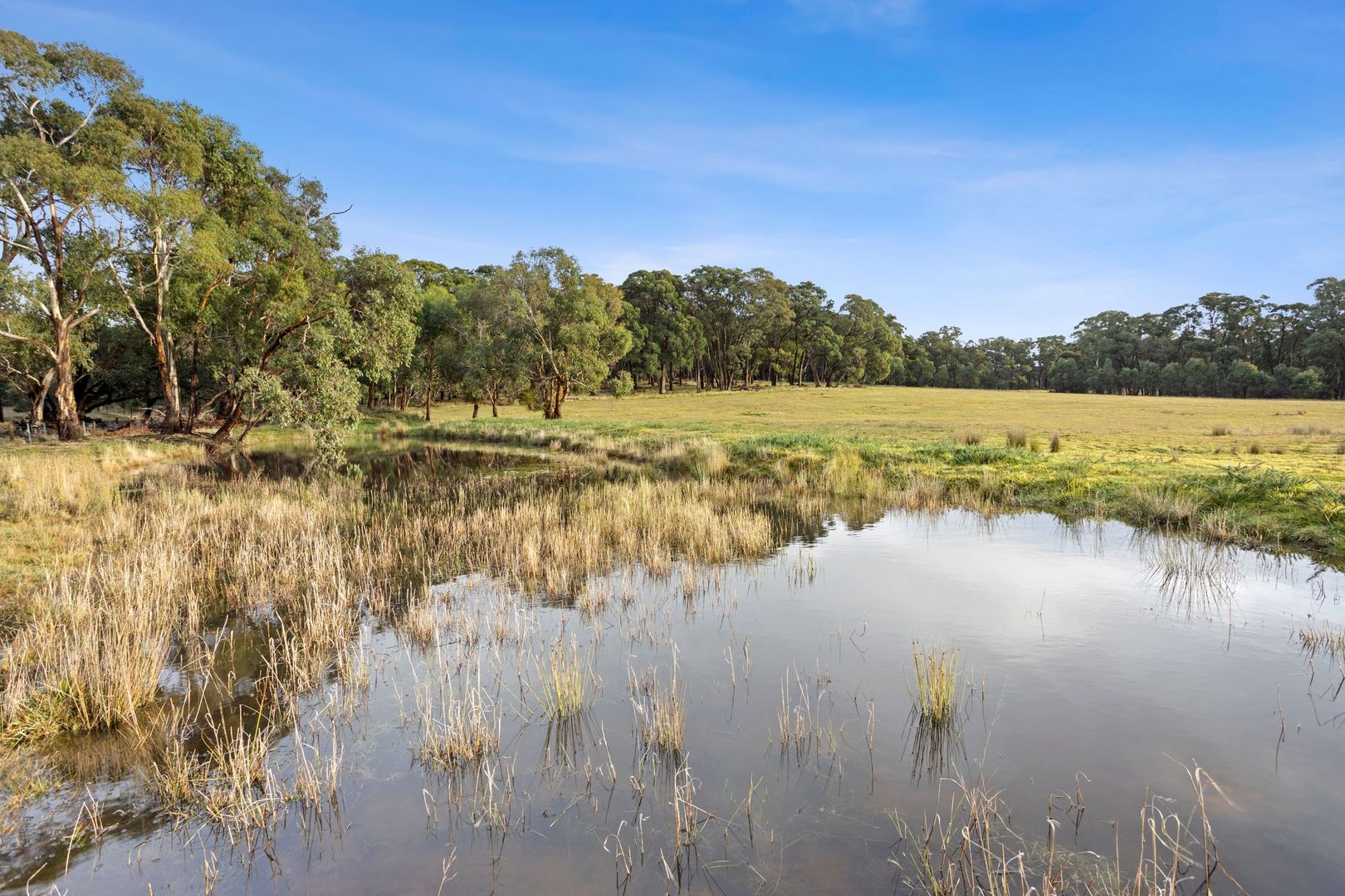 CA15 Honeysuckle Road, Lauriston VIC 3444, Image 2