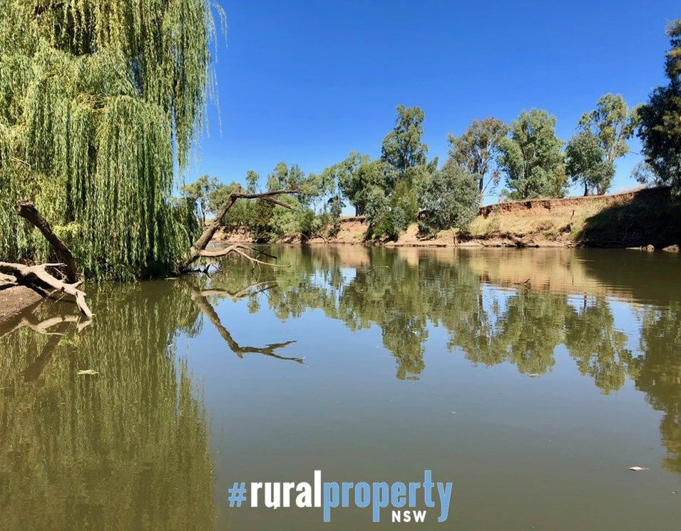 NAMOI FARM, Narrabri NSW 2390, Image 0