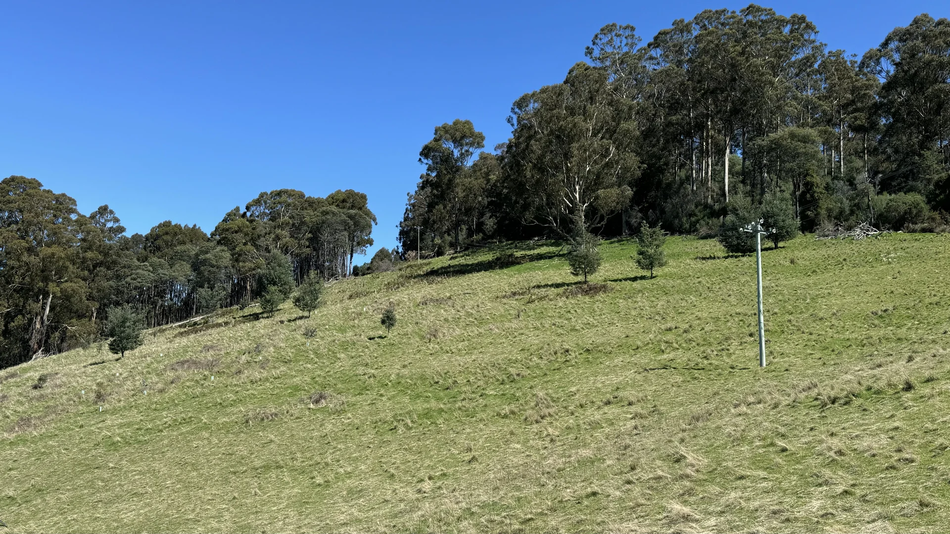 Image 16