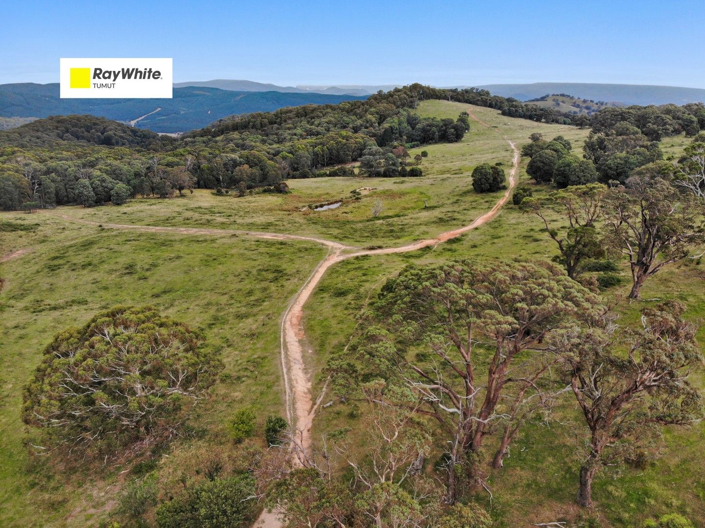 Lot 10 in DP 1005495 Wee Jasper Road, Tumut NSW 2720, Image 0