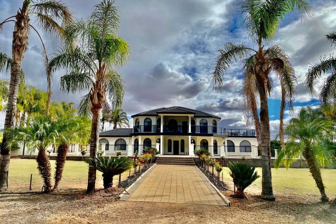 Picture of 164 GOVERNMENT ROAD, RENMARK WEST SA 5341