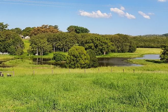 Picture of MCLEANS RIDGES NSW 2480