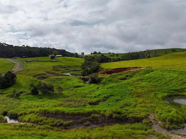 Additional image 6 of 464 Boar Pocket Road, Yungaburra QLD 4884