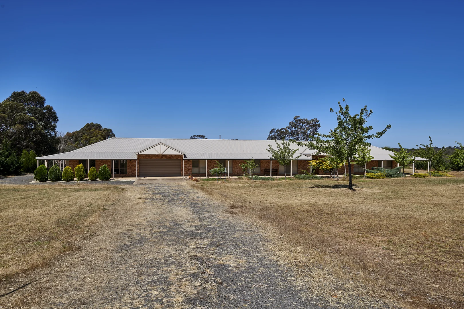 Image 23