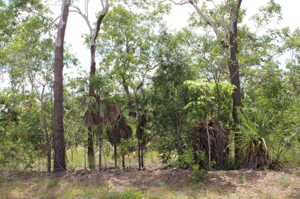 Additional image 9 of 155 Serrata Road, Dundee Downs NT 0840