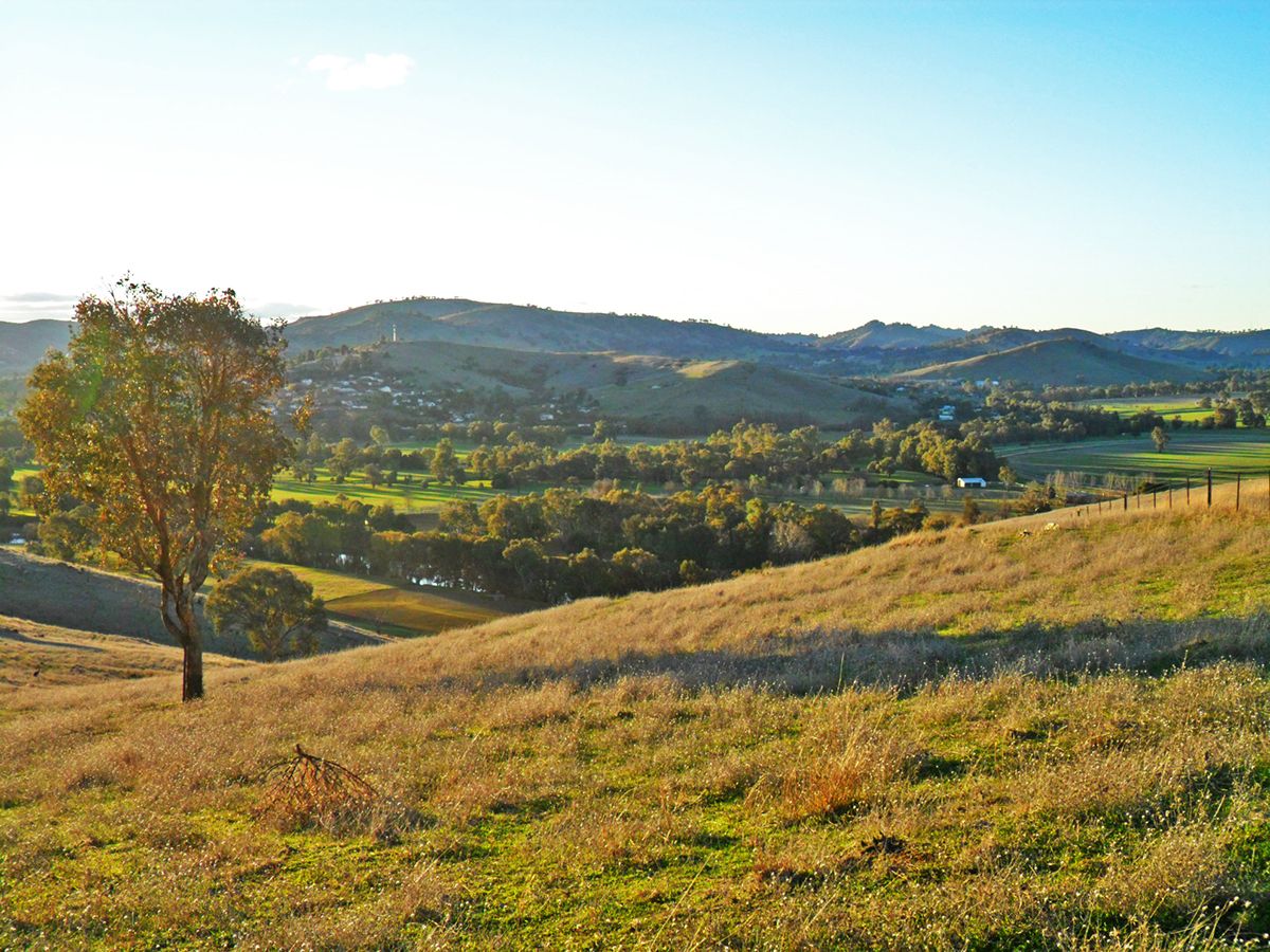 Lot 3,  Springfield Lane, Gundagai NSW 2722, Image 1