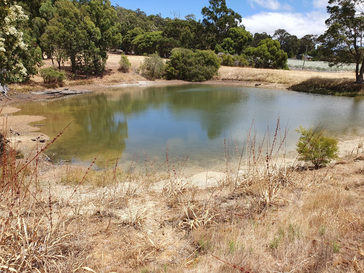 Lot 42 Eastern Rise, Henty WA 6236, Image 1