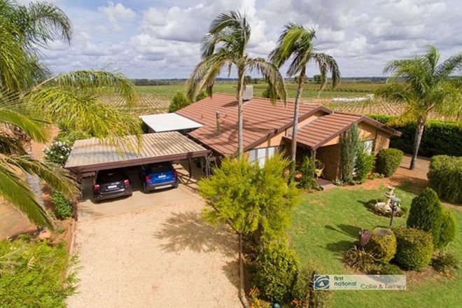 Picture of 14 Bombala Road, DARETON NSW 2717