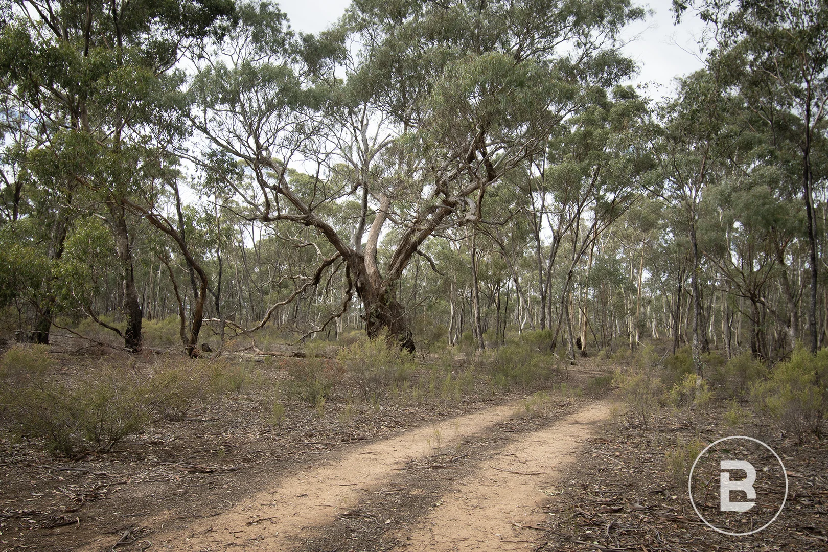 Additional image 9 of 16A/557 Majorca Road, Maryborough VIC 3465