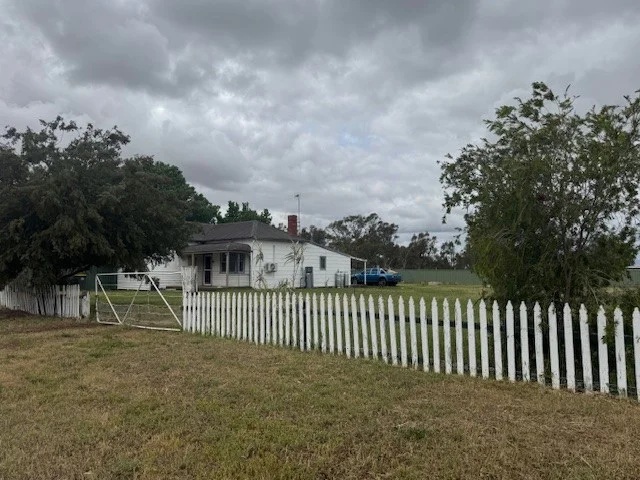 Image 16