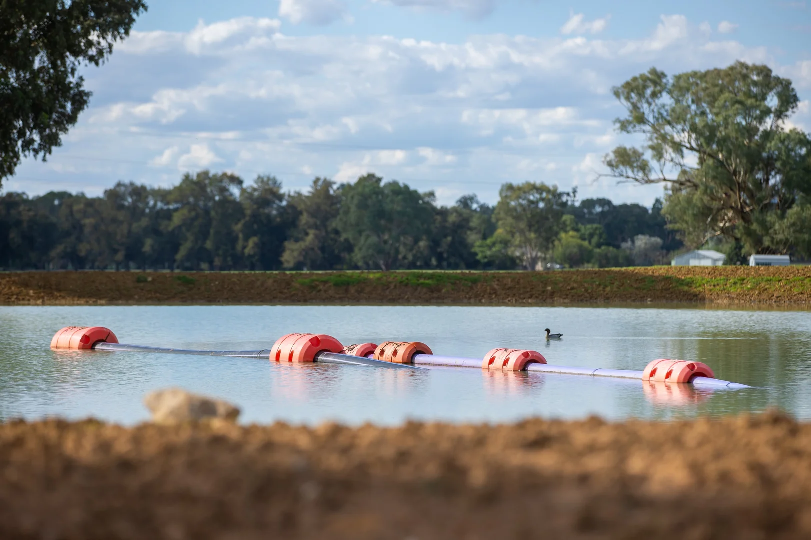 Additional image 18 of 1948 Coach Road, Morven NSW 2660