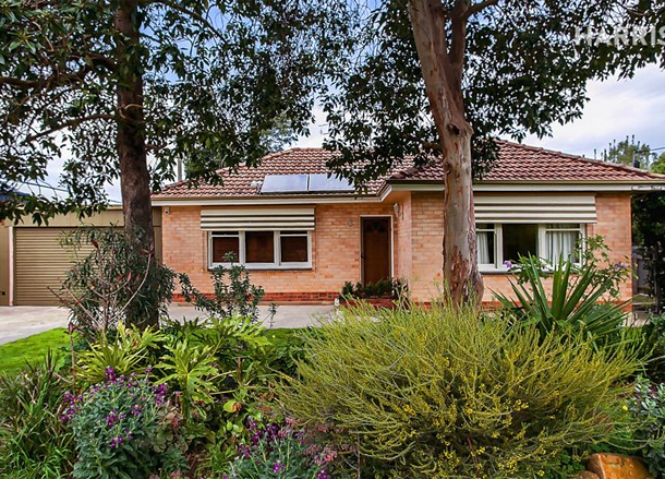 3 Lily Avenue, Campbelltown SA 5074