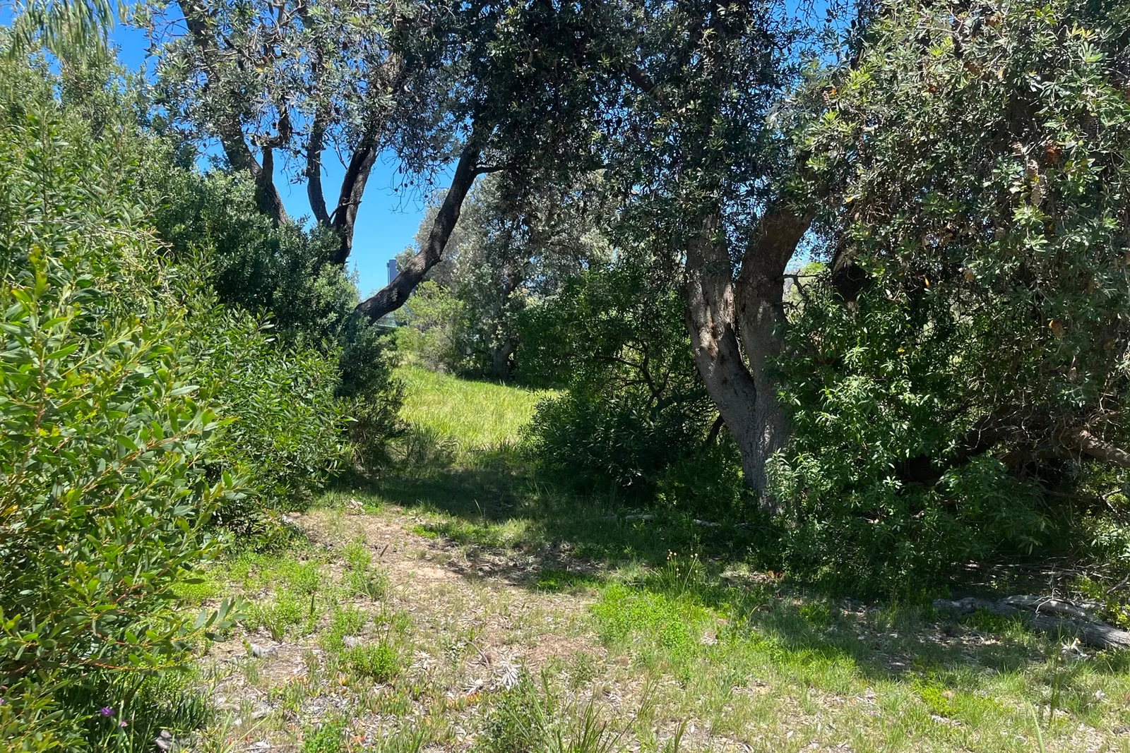 Image 12
