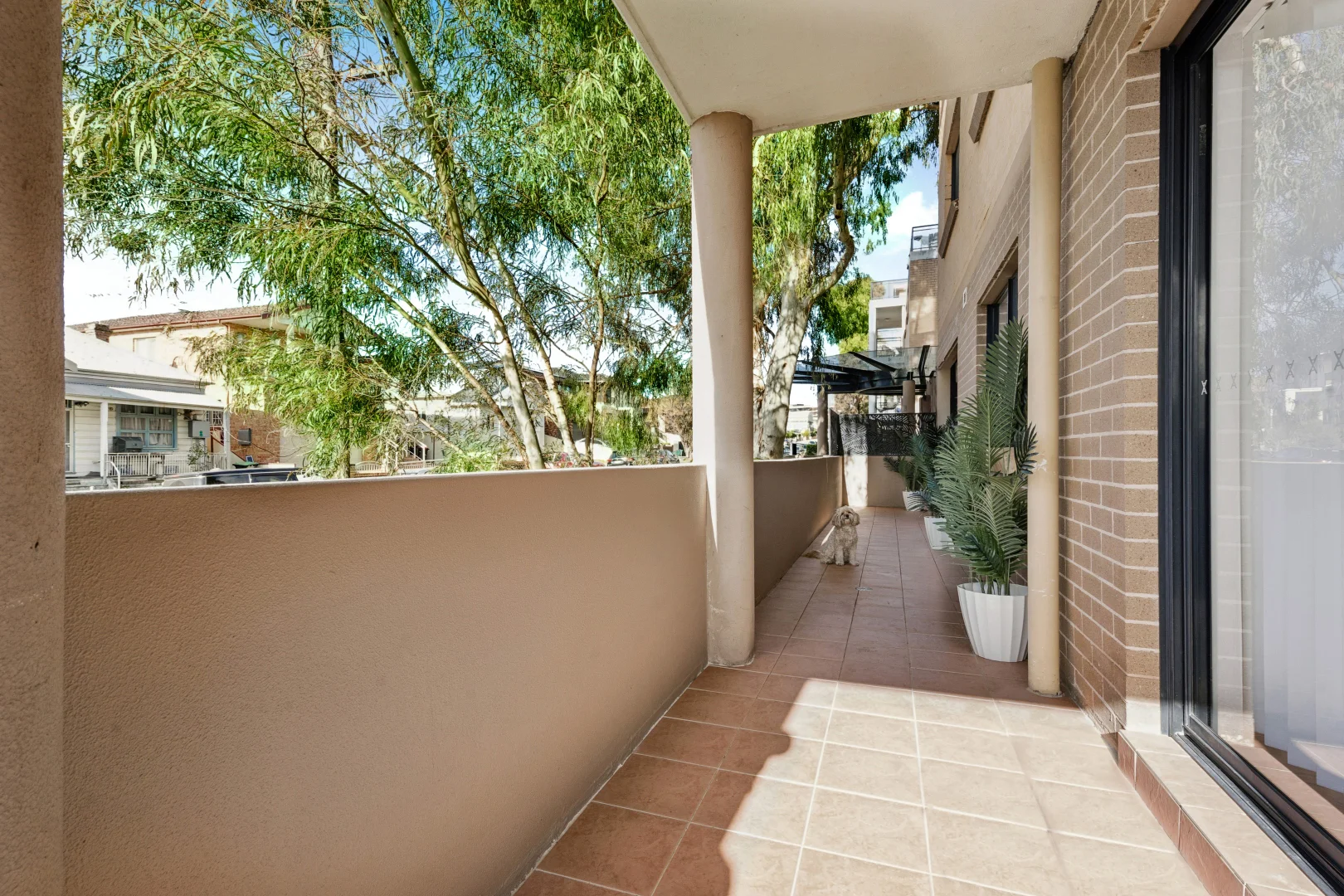Image 10