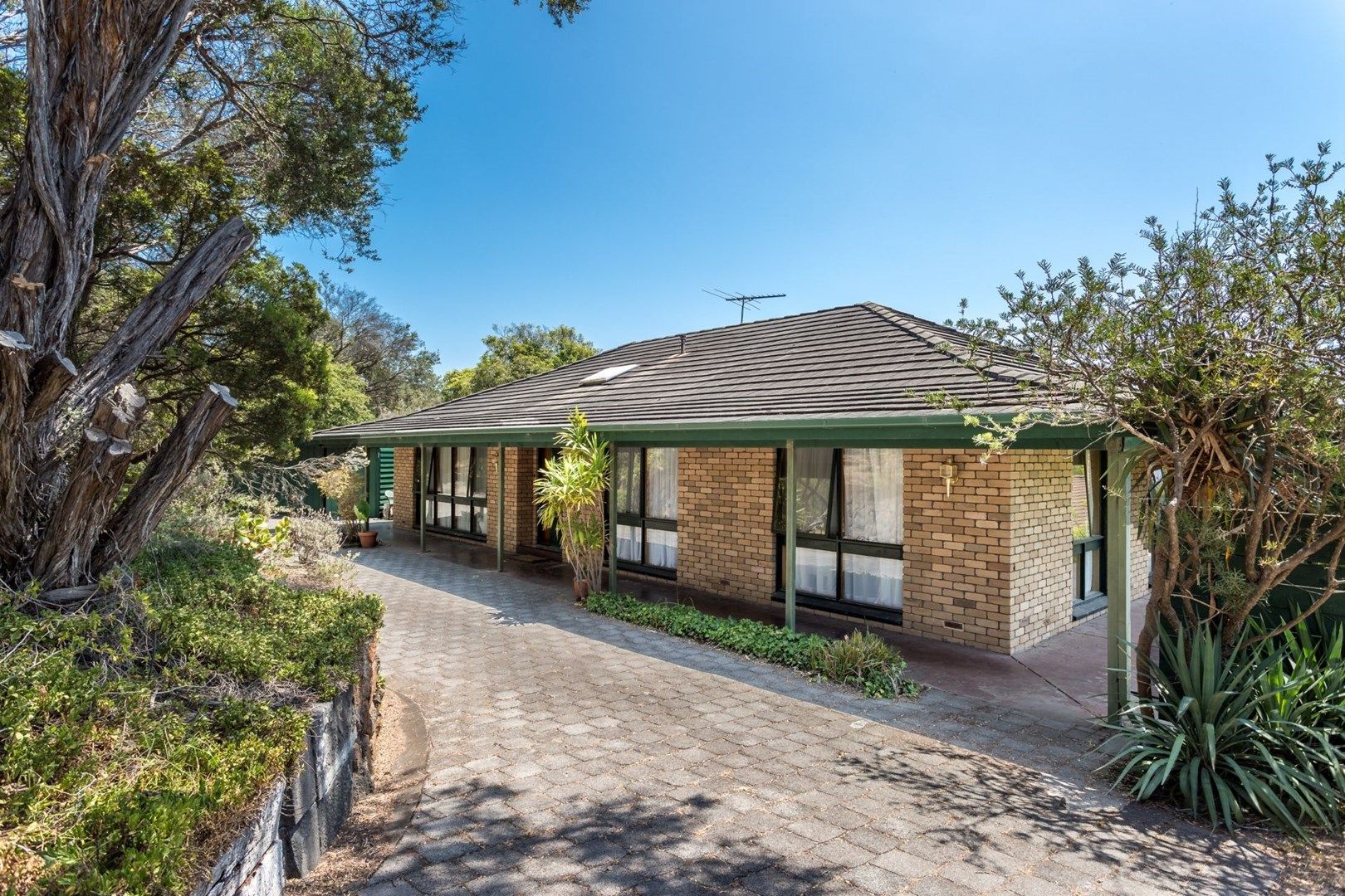 3 Roberts Street, Rye VIC 3941, Image 0